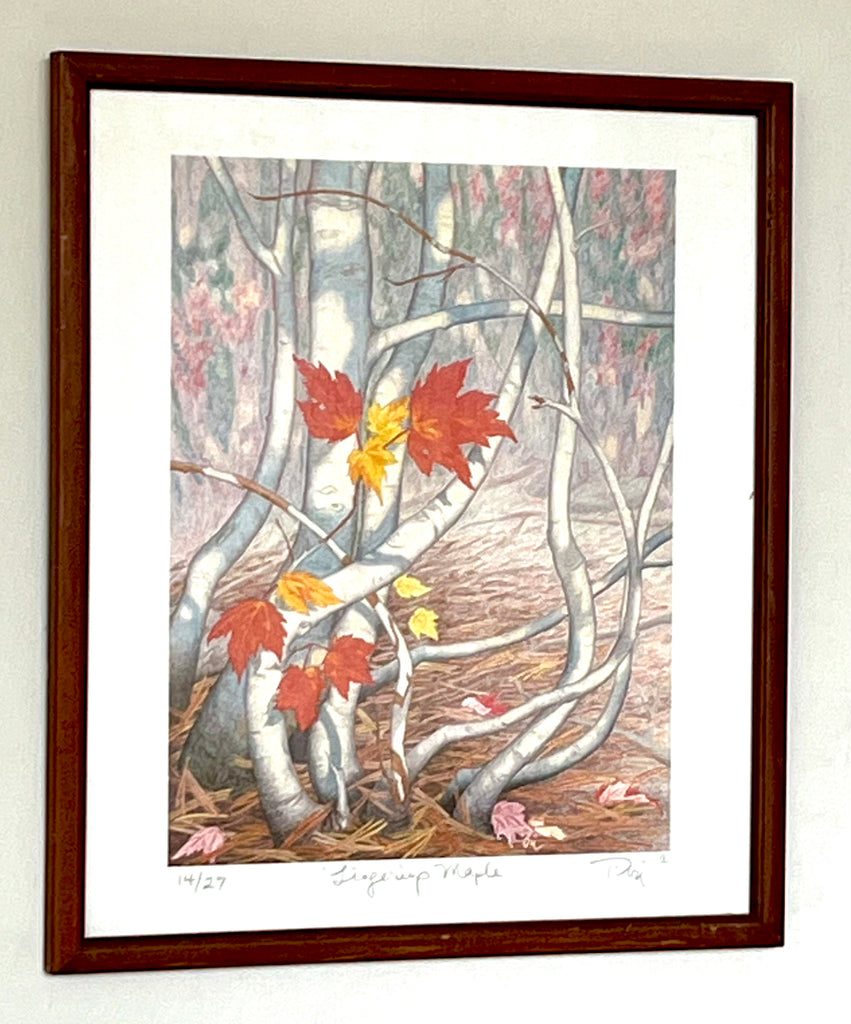 Lingering Maple -SM framed prints