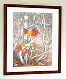 Lingering Maple -SM framed prints