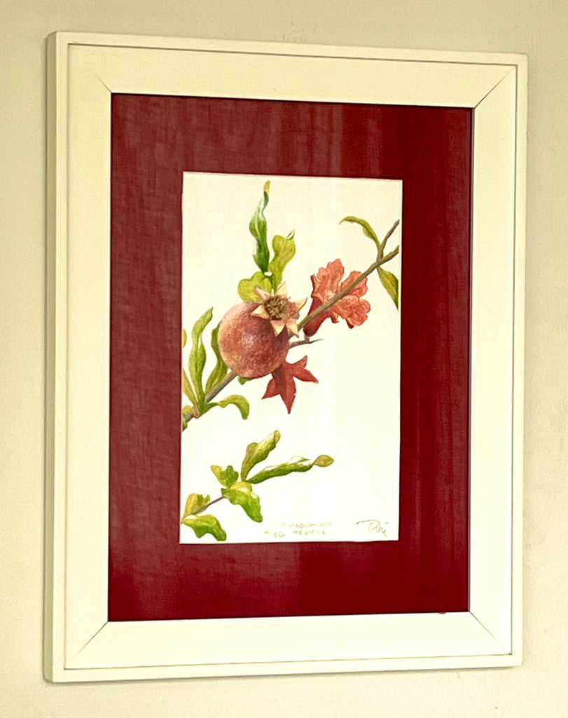 Pomegranate Promise -framed print