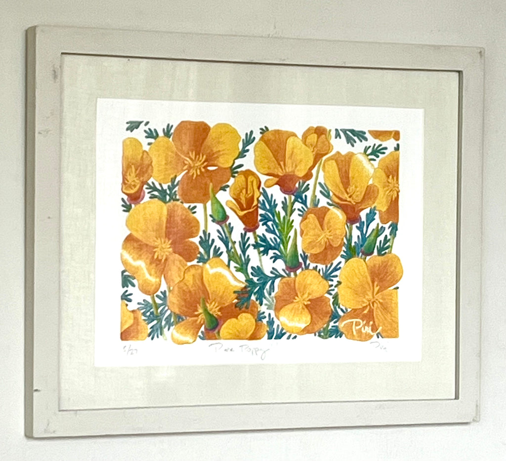 Pure Poppy framed Prints