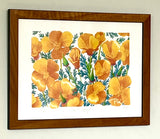 Pure Poppy framed Prints