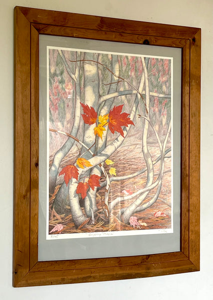 Lingering Maple - Framed Prints