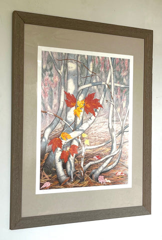 Lingering Maple - LG Framed Prints