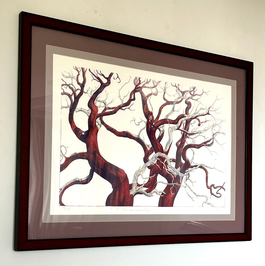 Manzanita - LG Print Framed