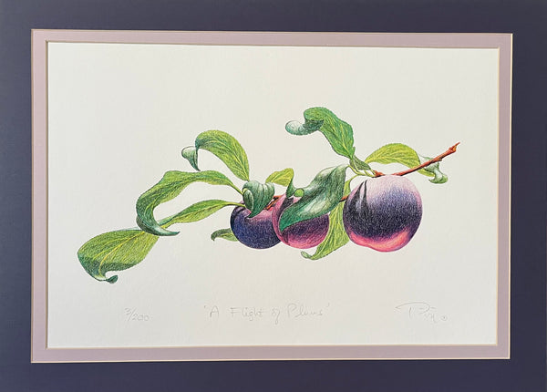 Flight of Plums Prints