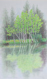 Pondside ORIGINAL