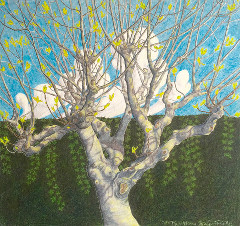 Mr. Fig Welcomes Spring ORIGINAL